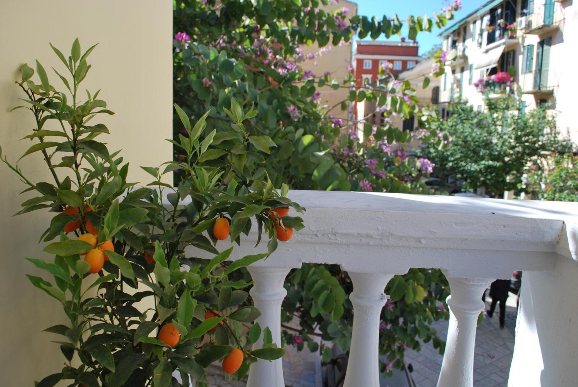 Lilliput Studio Corfu Old Town エクステリア 写真